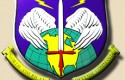 NORAD Logo