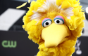 Big Bird / AP Images