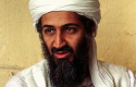Osama bin Laden / WC