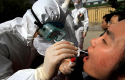 China H7N9 virus / AP