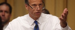 John Thune / AP