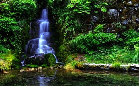 Oregon Caves Cascade