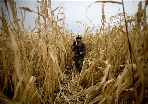 Navy corpsman Mitchell Angoglia, of Dyer, Indiana, with India company, 3rd Battalion 5th Marines, First Marine Division, walks through a cornfield, Friday, Nov. 5, 2010 in Sangin, Afghanistan.