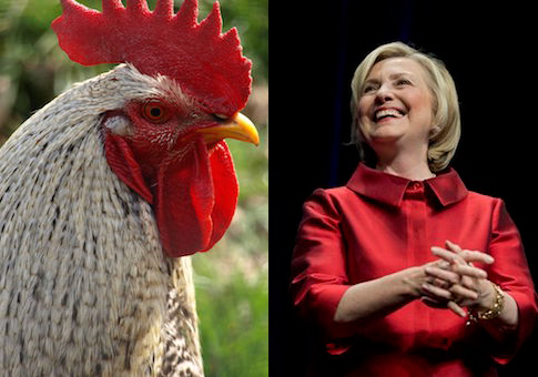 Hillary and chicken