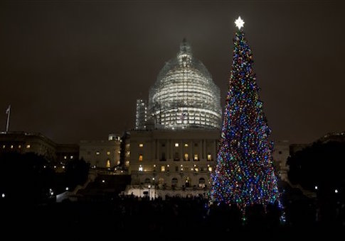 U.S. Capitol Christmas tree