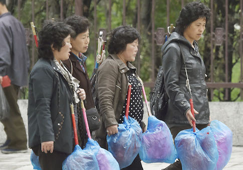 south korean brides