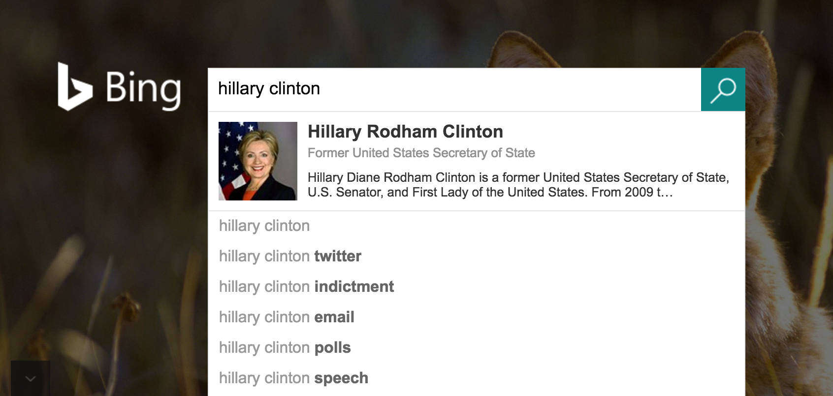 Here Are 10 Examples of Google Search Results Favoring Hillary
