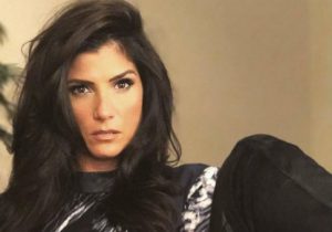 Dana Loesch / Facebook