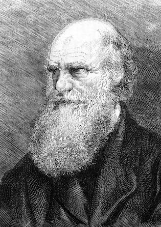 Charles Darwin 