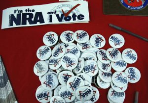 NRA PAC Breaks Fundraising Record Amid Push for New Gun Control