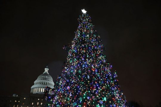 Capitol Hill Christmas Tree Lighting Ceremony