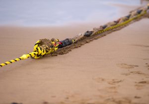 An undersea fiber optic cable