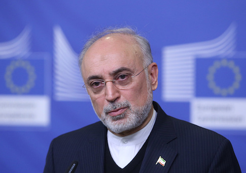 Head of the Atomic Energy Organisation of Iran Ali Akbar Salehi