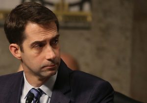 Tom Cotton