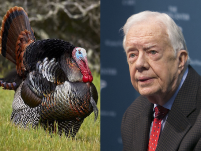 Carter Turkey