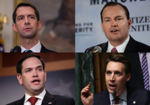 Cotton Rubio Lee Hawley