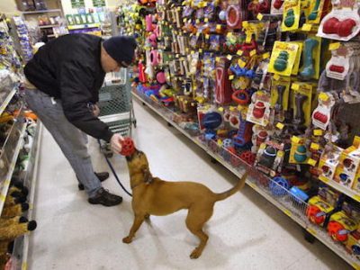 Petsmart Stores Show High Earnings