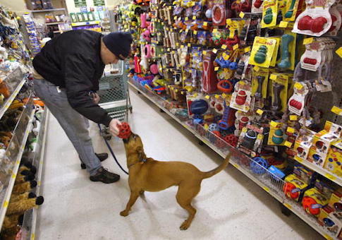 Petsmart Stores Show High Earnings