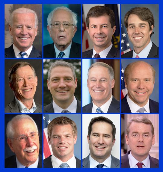 This Photo Collage of All the White Male Democrats Running for ...