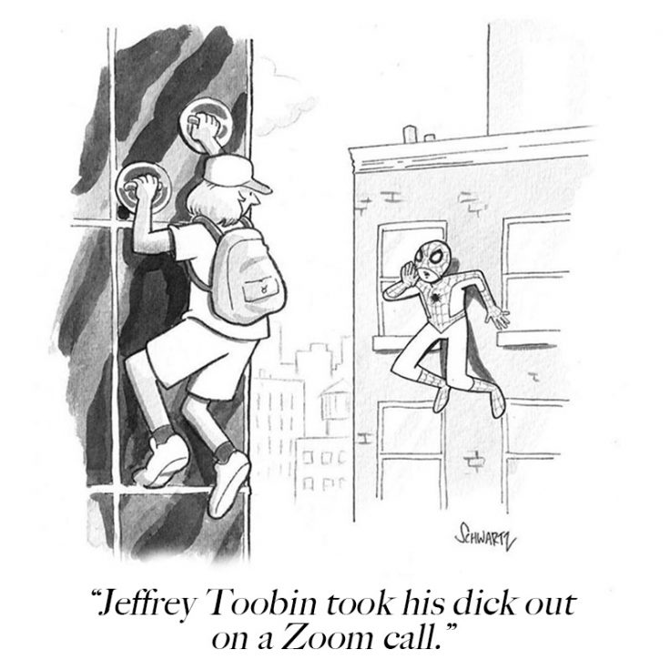 Jeffrey Toobin Dick Slip Scandal, Explained in New Yorker Cartoons and ...