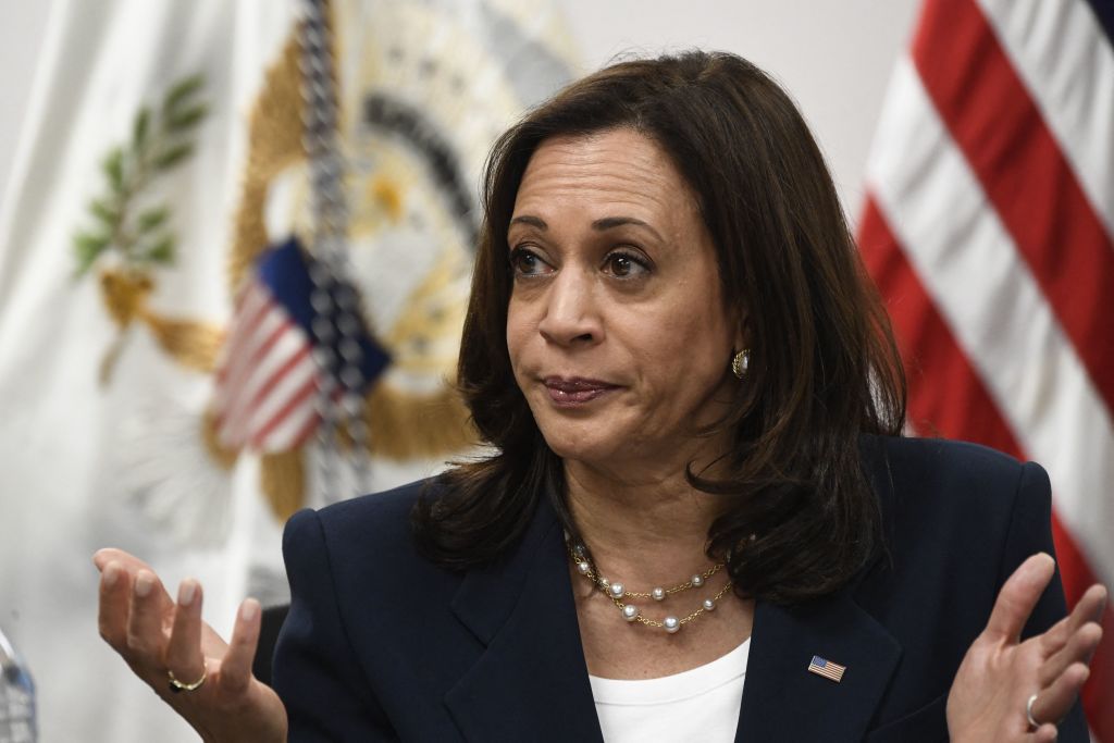 FACT CHECK: New York Times Columnist Says Kamala Harris 'Has Clear ...