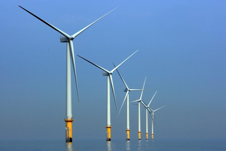 Biden-Harris Admin Pauses Oregon Offshore Wind Program One Month After Championing It as a Green Energy Success Story