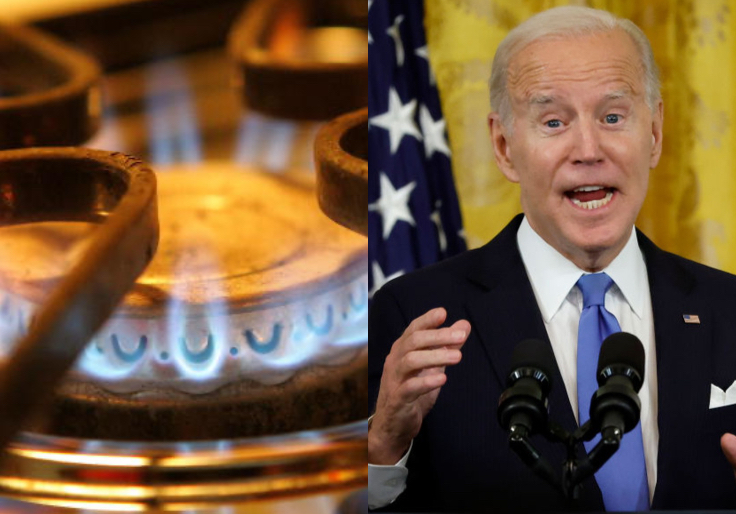 ‘Stay the F Out of This Issue, Jackasses’: Biden Admin Flooded With Negative Comments Over Gas Stove Regulations