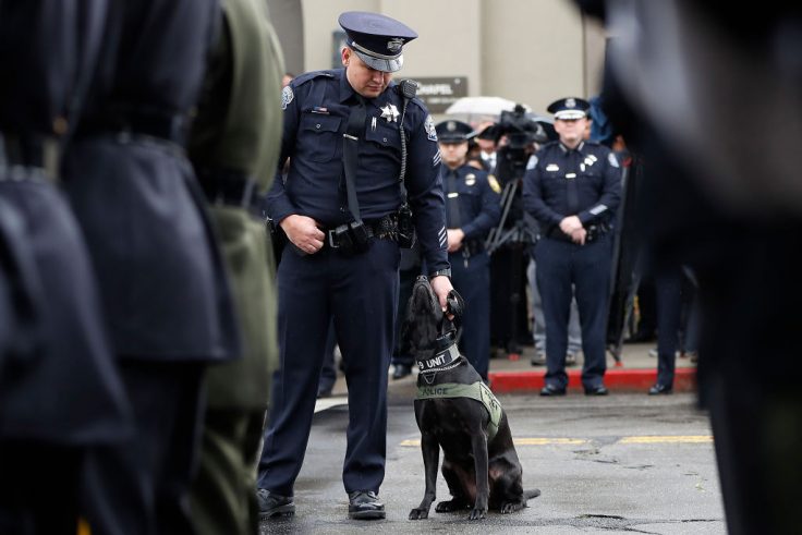 Ruff Justice: California Lawmakers Want To Ban Police Dogs, Citing Racism