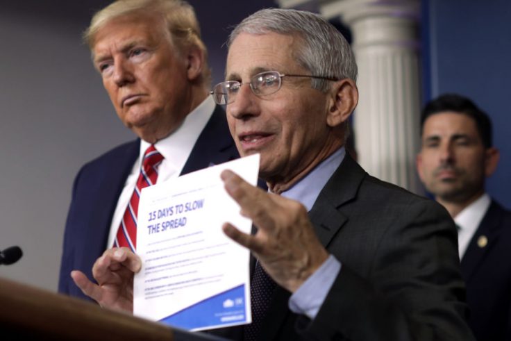 Fauci Commissioned Report To Dismiss Lab-Leak Theory, Emails Show