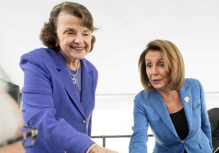 Pelosi Accuses Fellow Dems of Sexism for Calling on Senile Senator To Resign