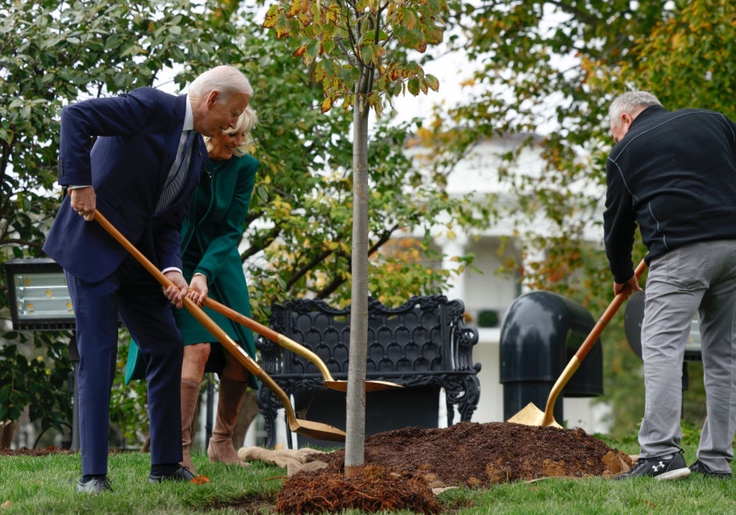 Biden to Spend  Billion in Taxpayer Funds to Advance ‘Equitable Access to Trees’