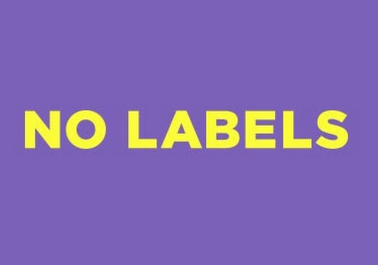 No Labels: No Money, No Strategy