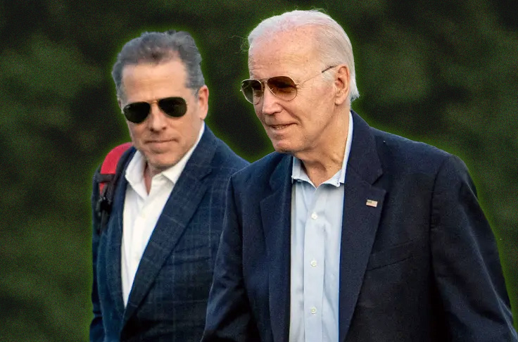 House Democrat claims Hunter Biden made phone calls to his father during business meetings.