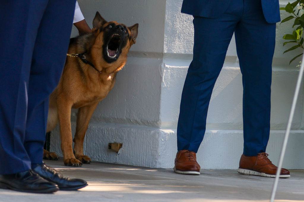 Biden's Dog Commander Bites Another Secret Service Agent