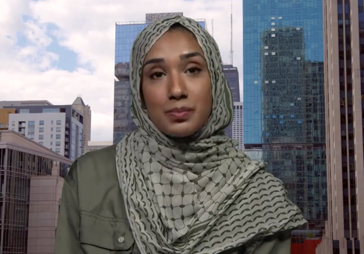 Muslim Dem Delegate Says Harris Can't Win Without Appeasing Anti-Israel ...