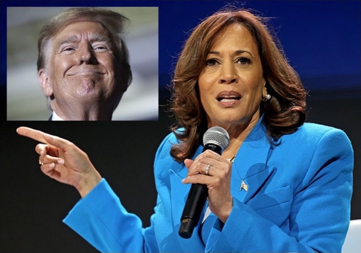 Finally there is a list of Kamala’s political positions (created by Trump)