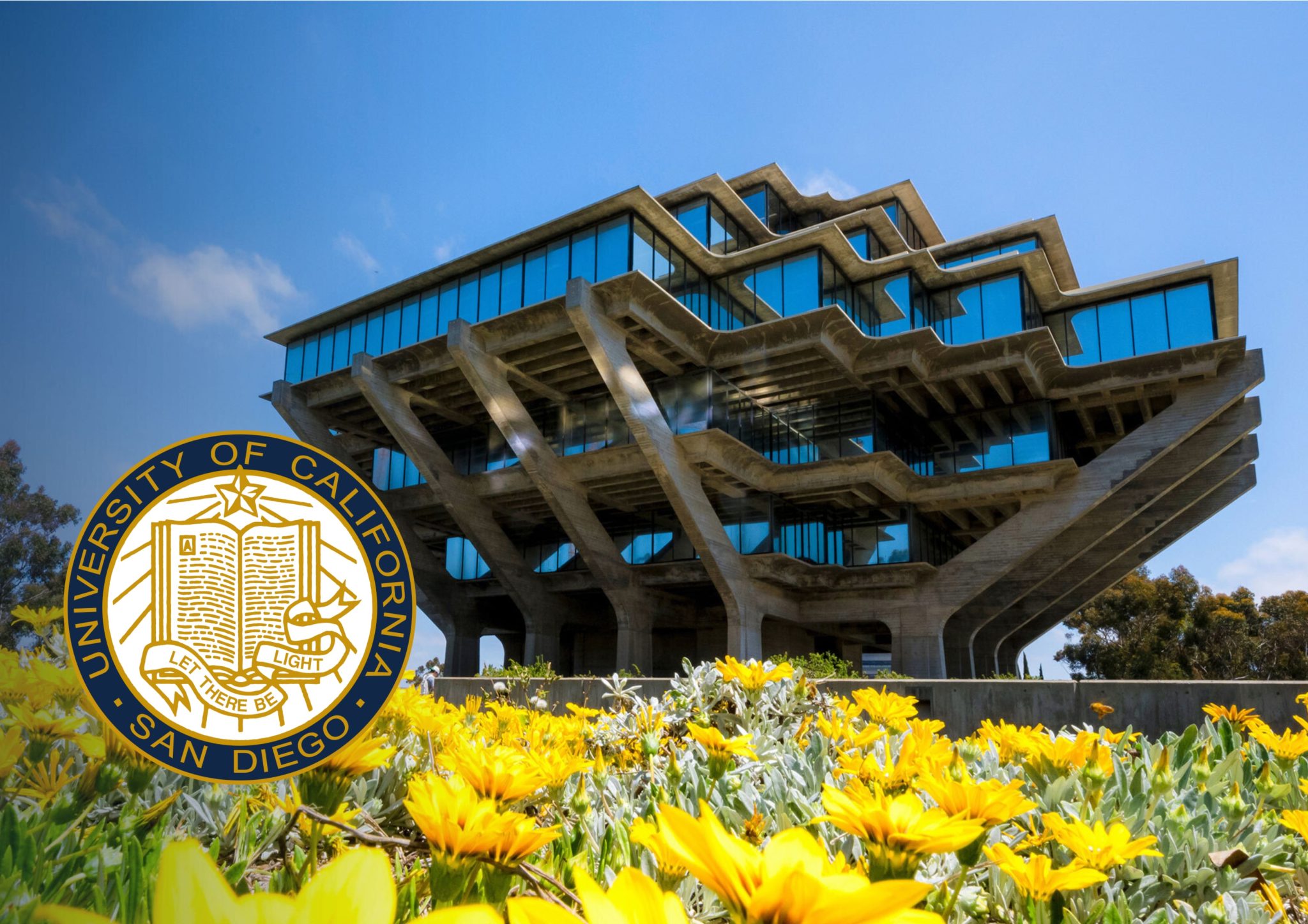 UC San Diego Thought It Found a Loophole To Offer Race-Based ...