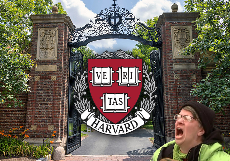 'I Was Just Sobbing in Bed': Harvard Students Distraught as School Says It Gives Out Too Many As