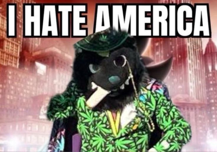 ‘Furry’ Who Celebrated Charlie Kirk Assassination and Said US ‘Deserved 9/11’ Running for Congress in Michigan