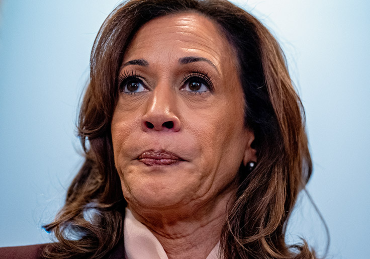 Liberals Insisted the Supreme Court Was ‘Plotting’ To Abolish Gay Marriage. They Were Wrong, Obviously.