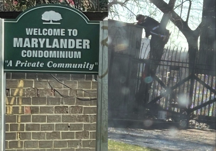 Federal Judge Authorizes Evictions at Condominium Besieged by Sprawling Homeless Encampment